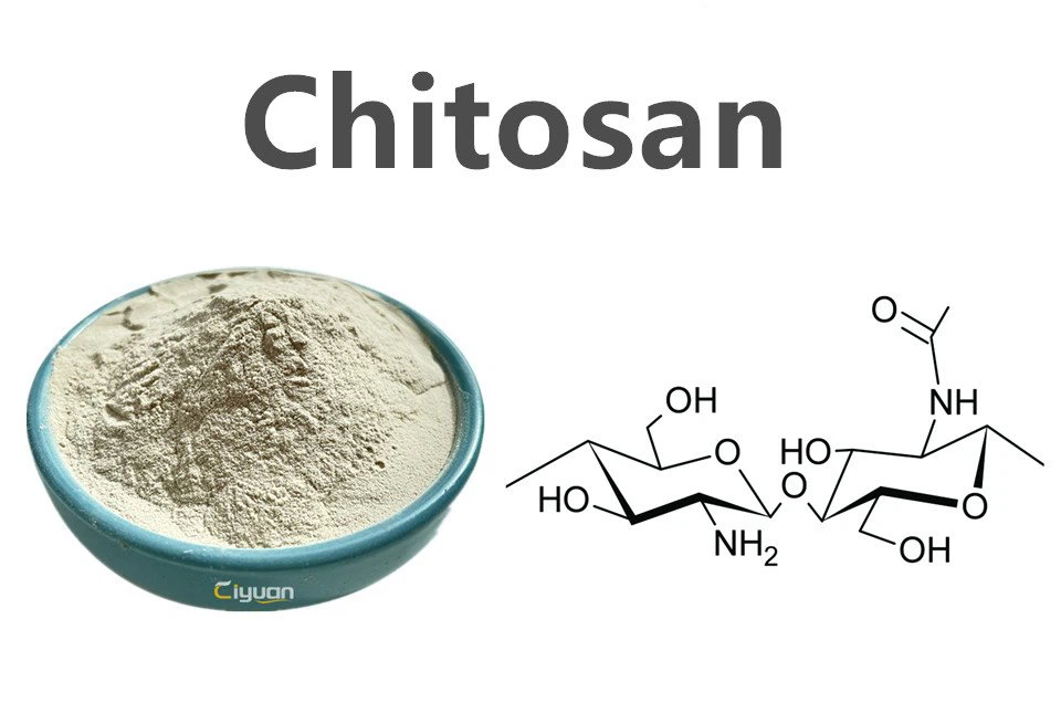 Chitosan Powder.png